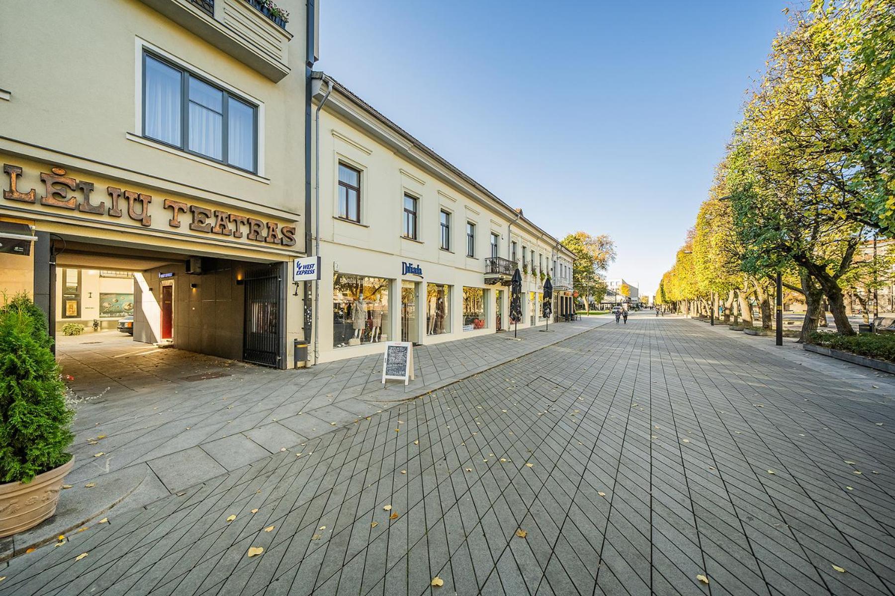 Central Park Apartments - The Luxury Collection Kaunas Eksteriør bilde