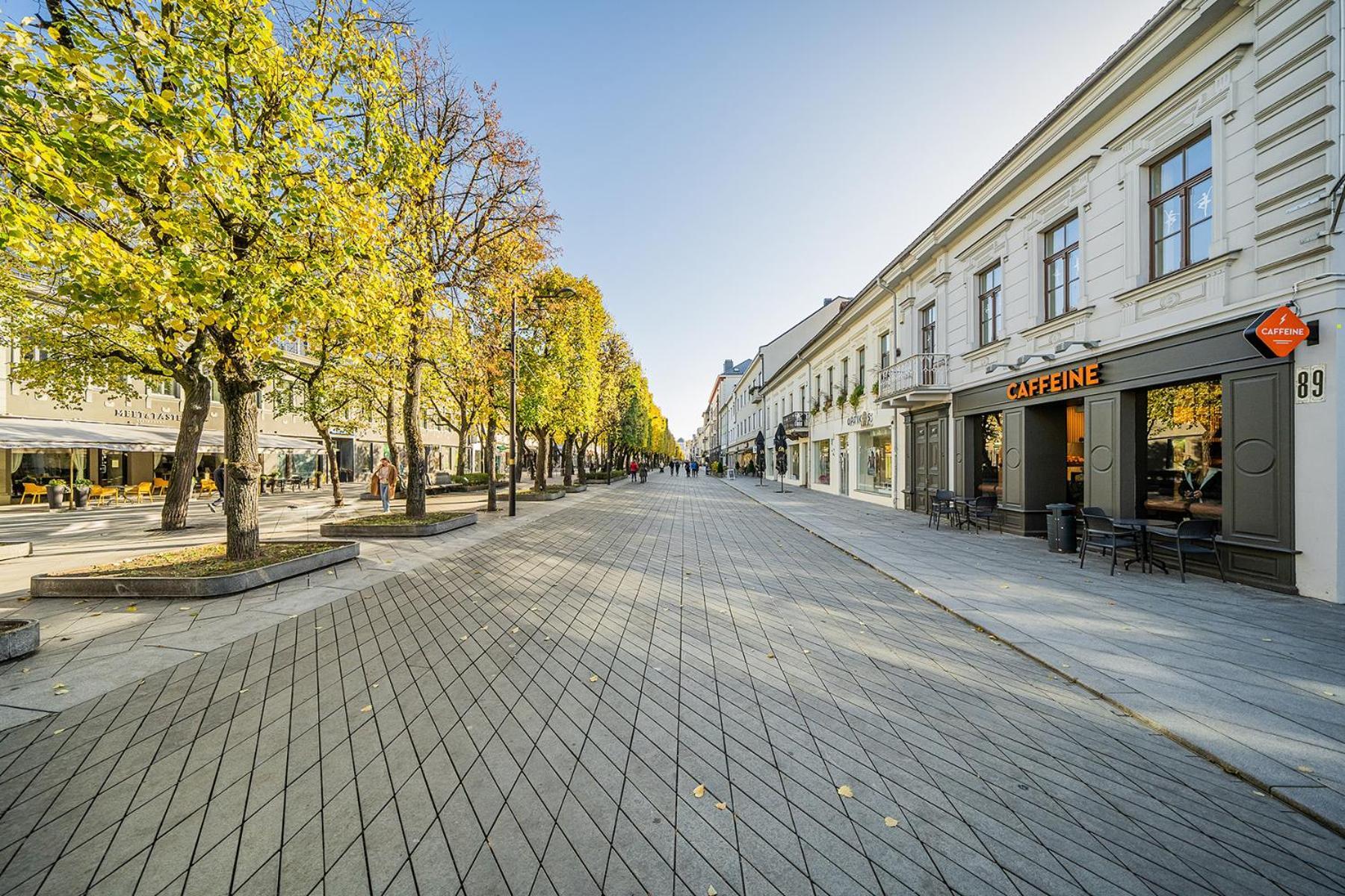 Central Park Apartments - The Luxury Collection Kaunas Eksteriør bilde